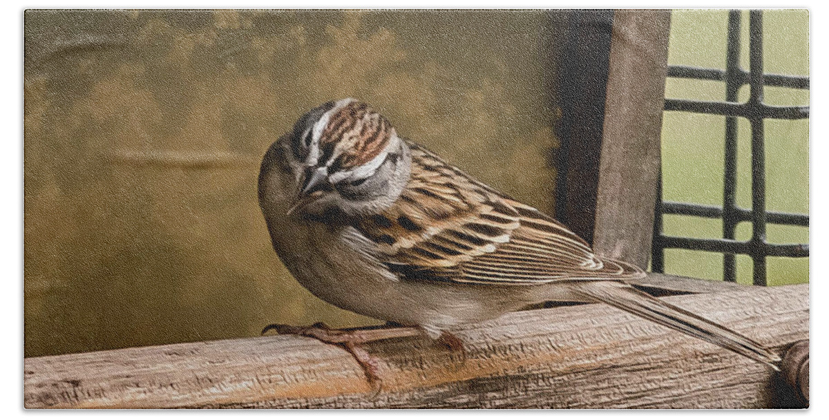 Birds Bath Towel featuring the photograph Chipping Sparrow by Cynthia Wolfe