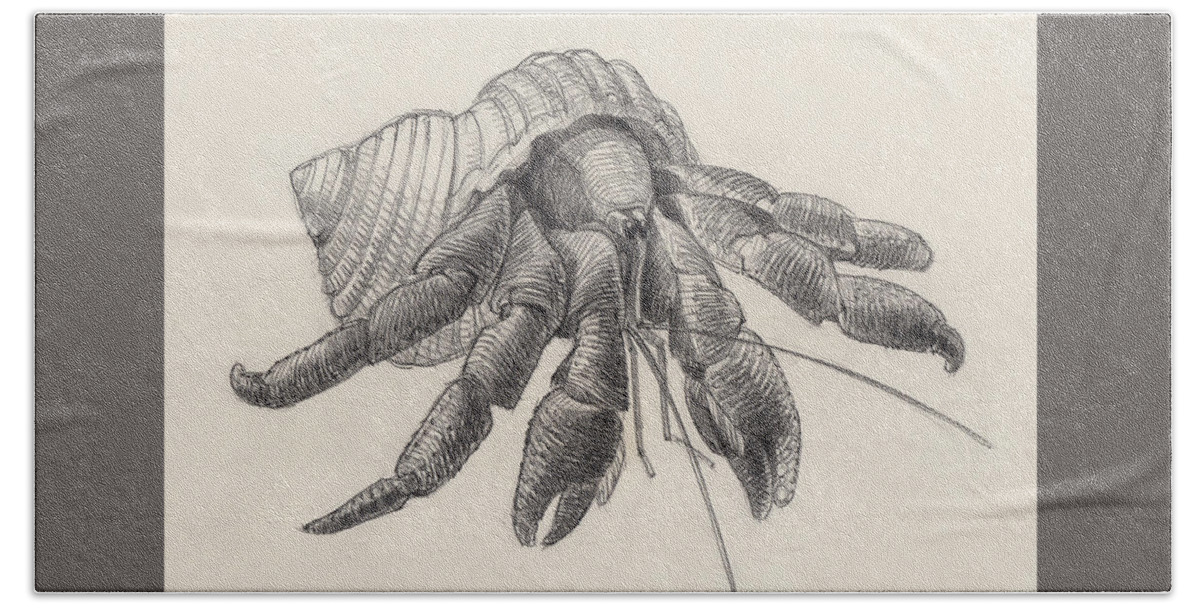 Hermit Crab Bath Towel featuring the drawing Chocolate Hermit Crab by Judith Kunzle