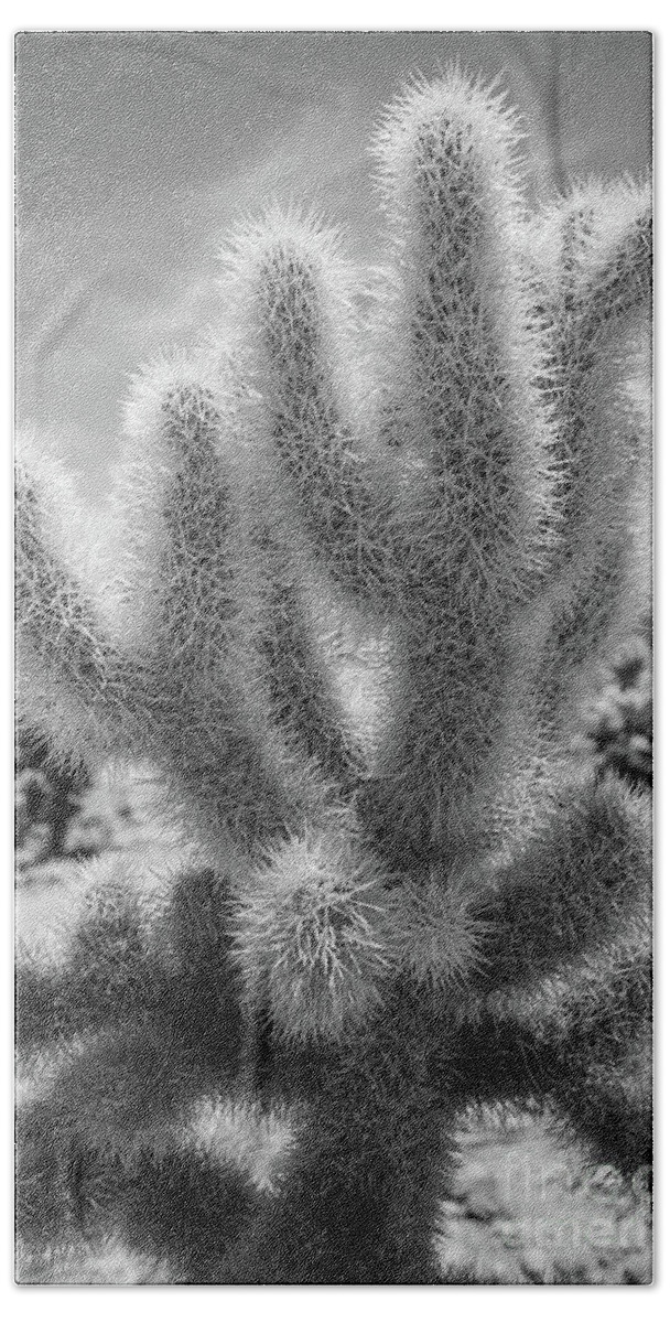 Cholla Cactus Bath Towel featuring the photograph Cholla Cactus BW by Michael Ver Sprill