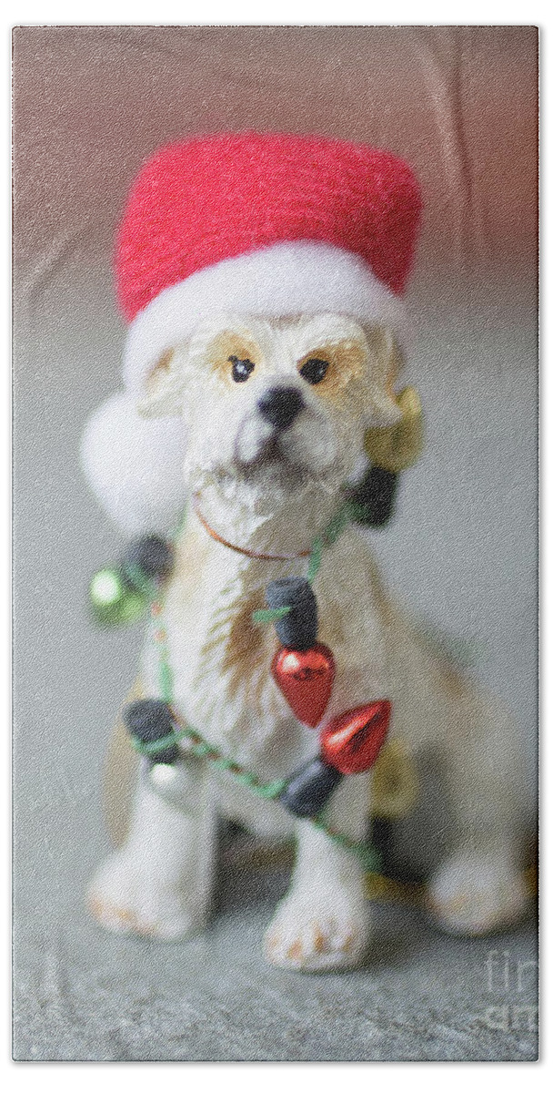 Dog Hand Towel featuring the photograph Christmas Dog Card by Edward Fielding