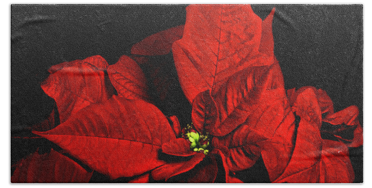 Pointsettia Hand Towel featuring the photograph Christmas Fire by Christopher Holmes