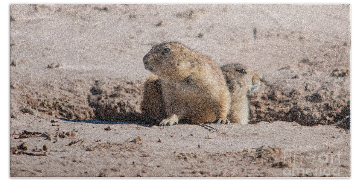 Prairie Dogs Bath Towel featuring the photograph Clear on the Left, Clear on the Right by John Greco