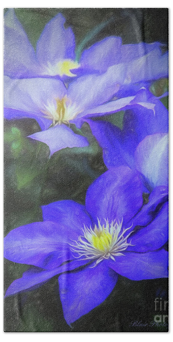 Purple Hand Towel featuring the photograph Clematis by Linda Blair