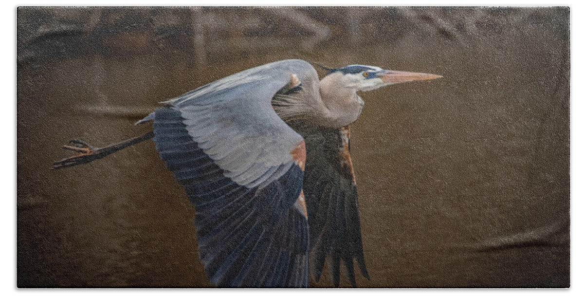Great Blue Heron Hand Towel featuring the photograph Close Flight by Ray Congrove