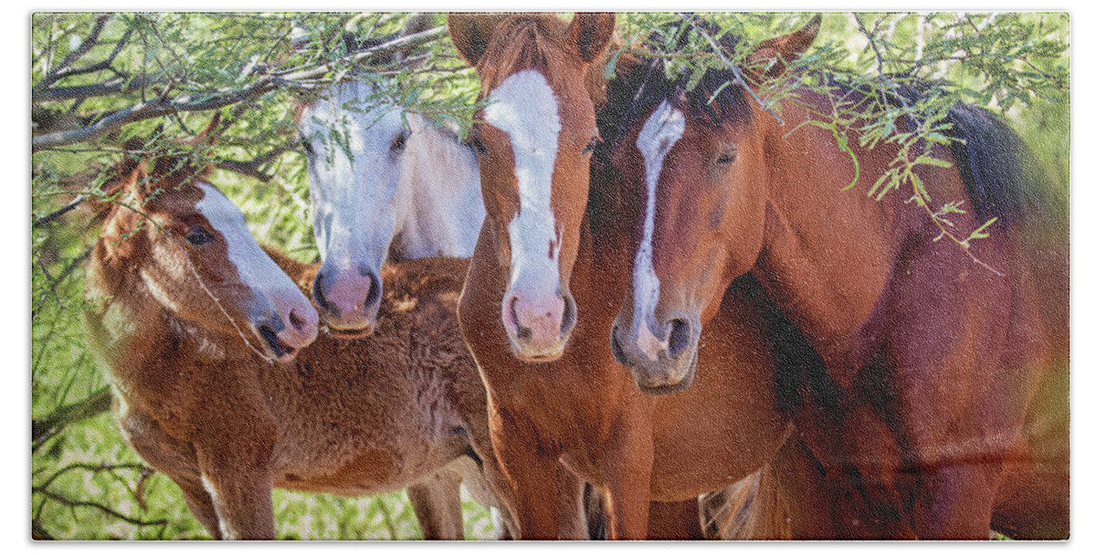 Mesa Bath Towel featuring the photograph Closeup of Herd of Four Wild Horses by Good Focused