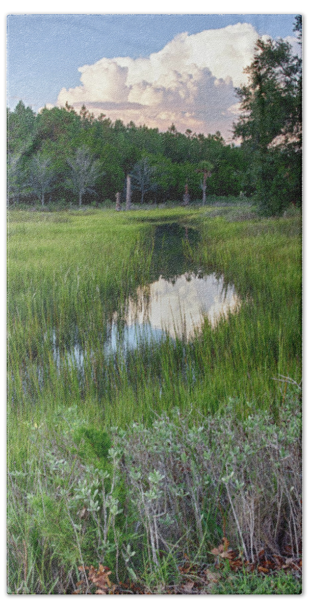 Seabrook Island Bath Towel featuring the photograph Cloud Over Marsh by Patricia Schaefer
