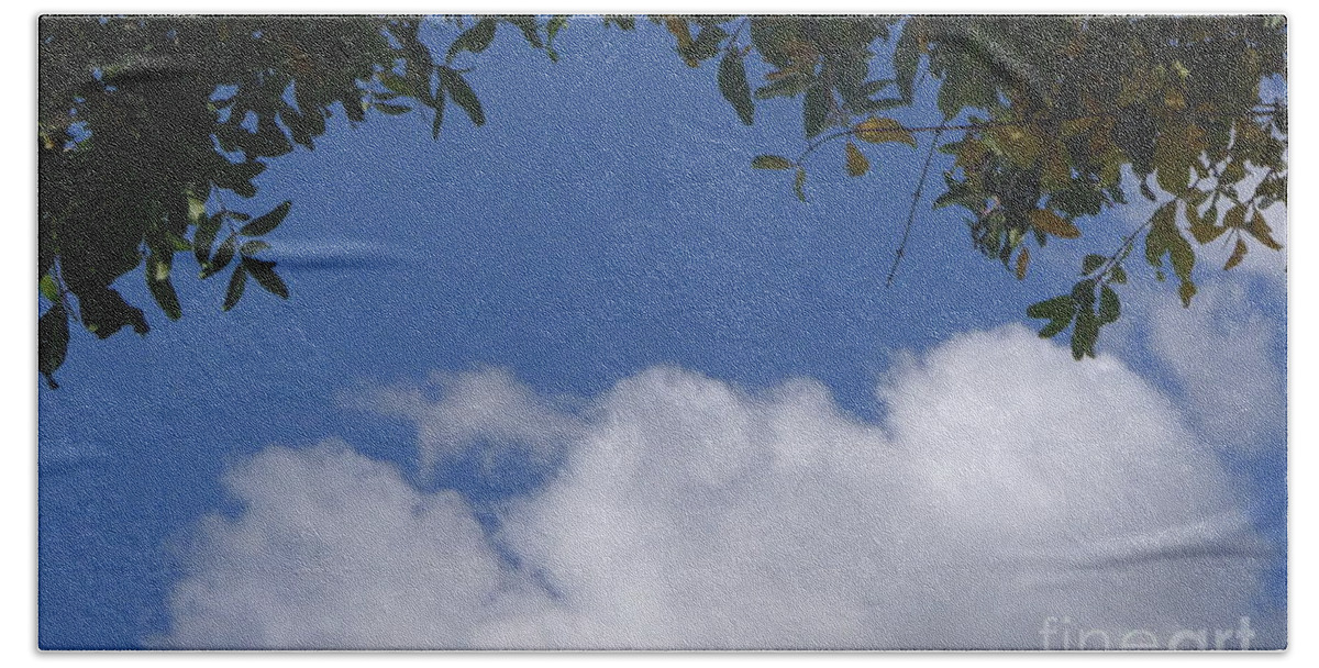 Clouds Hand Towel featuring the photograph Clouds Framed by Tree by Nora Boghossian