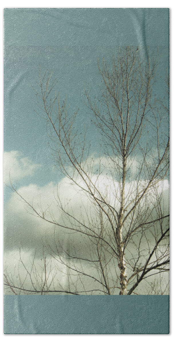 Tree Top Hand Towel featuring the photograph Cloudy Blue Sky Through Tree Top No 2 by Ben and Raisa Gertsberg