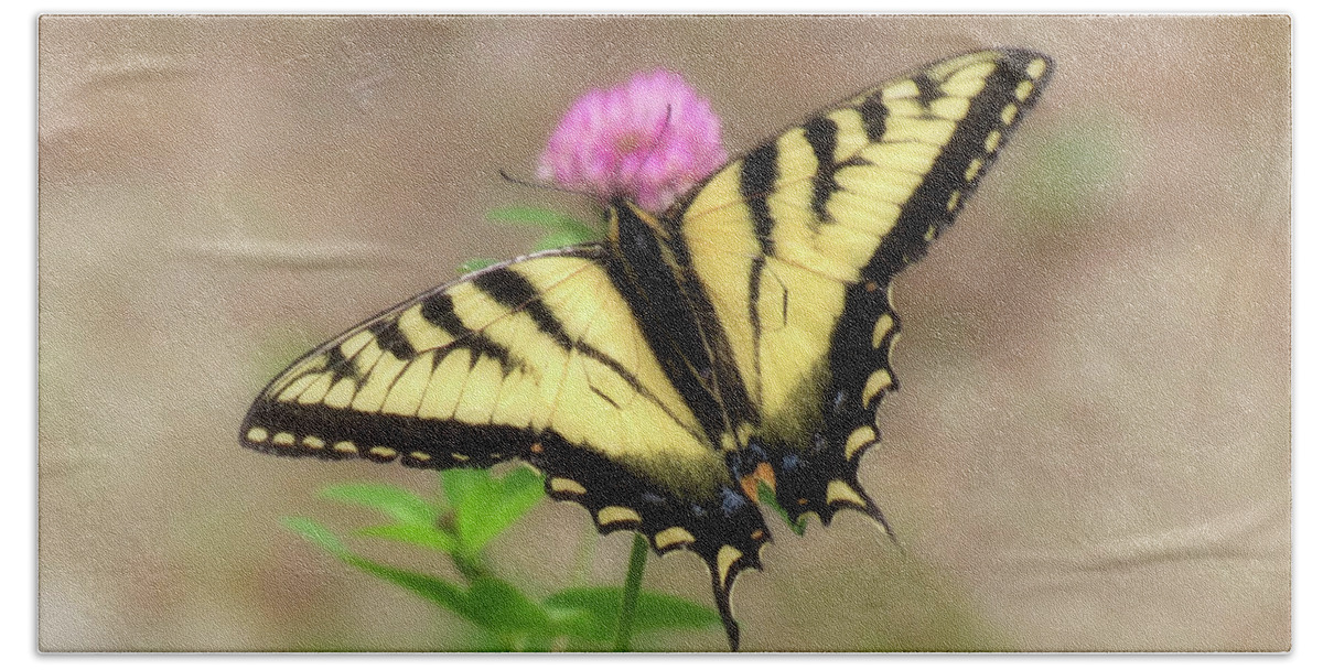 Swallowtail Butterfly Bath Towel featuring the photograph Clover and Swallowtail - Butterfly by MTBobbins Photography