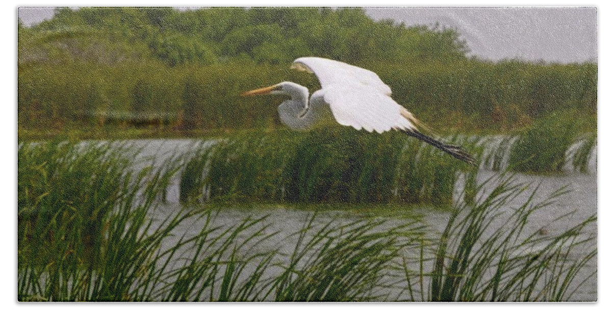 Bird Print Hand Towel featuring the photograph Whooping Crane II by Kristina Deane