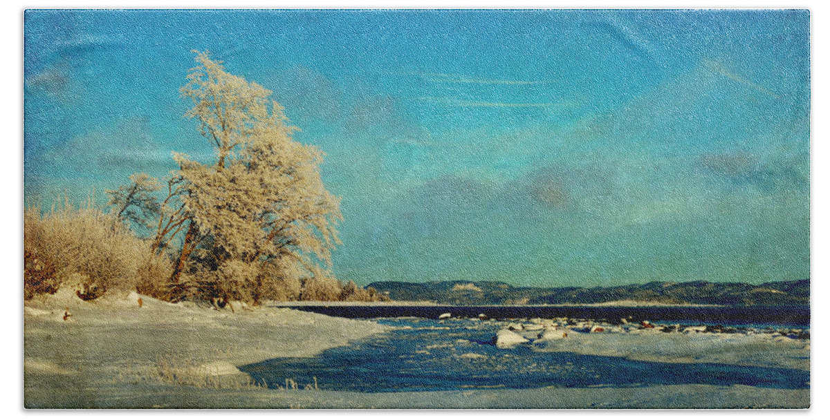 Beach Bath Towel featuring the photograph Coastal Winter Scene by Randi Grace Nilsberg