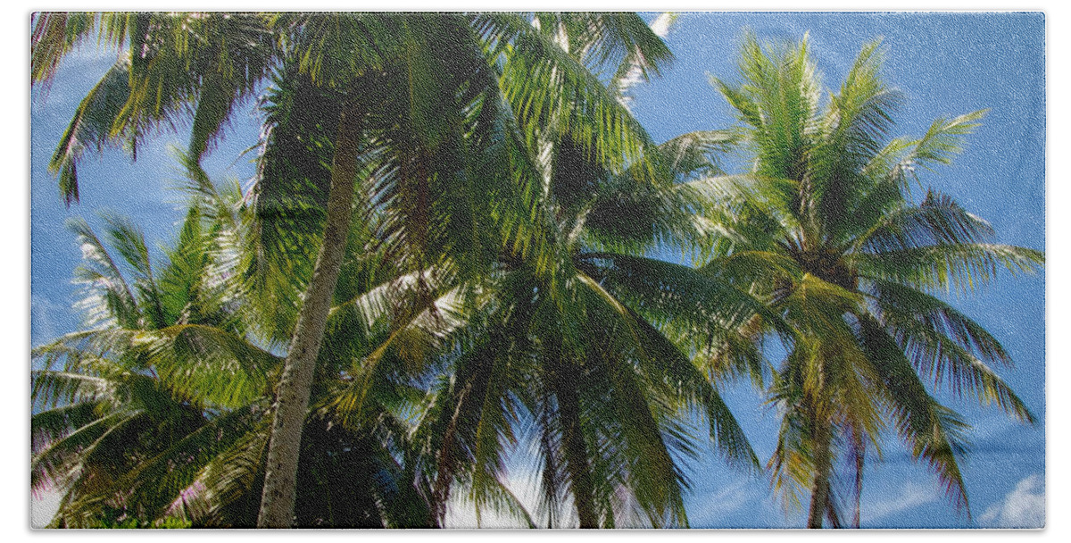 Coconut Palms Hand Towel featuring the photograph Coconut Palms by Byron Fair
