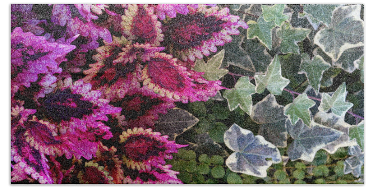 Coleus Hand Towel featuring the mixed media Coleus and Ivy- Photo by Linda Woods by Linda Woods