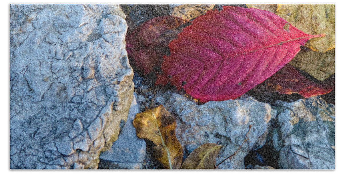 Fall Hand Towel featuring the photograph Color Underfoot by Jeff Phillippi