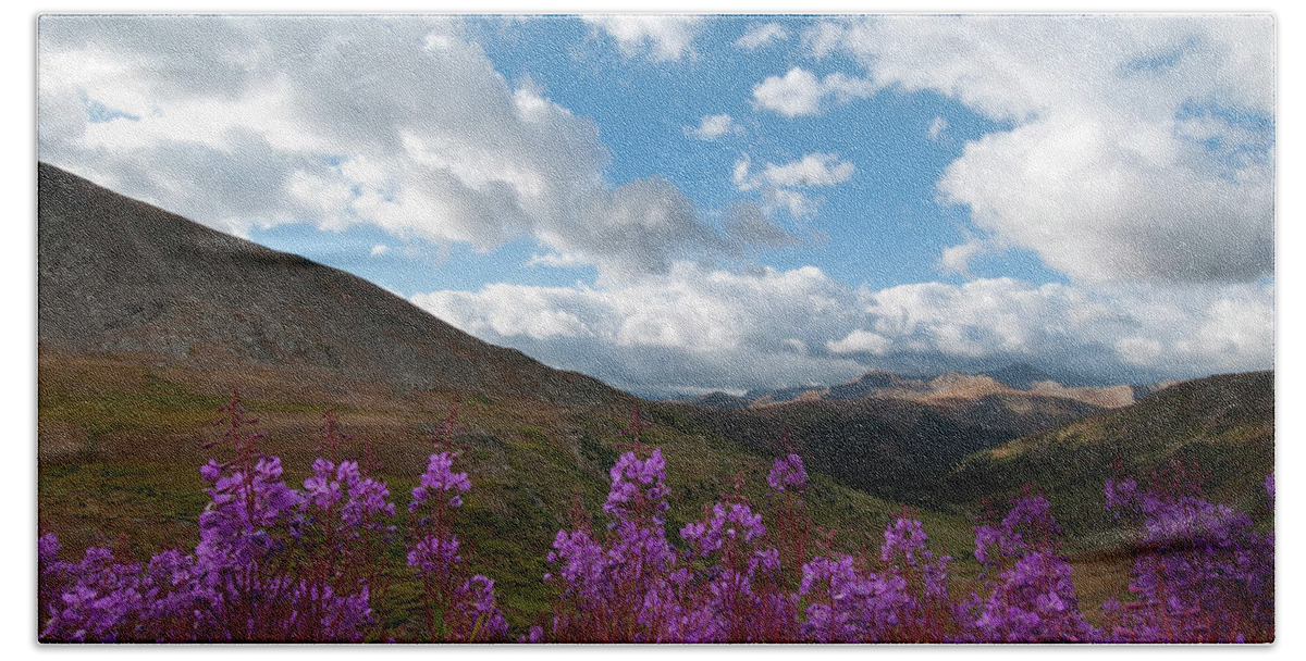 Colorado Bath Towel featuring the photograph Colorado Fireweed and Sky Landscape by Cascade Colors
