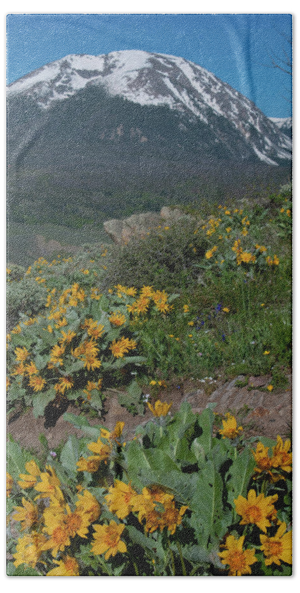Spring Hand Towel featuring the photograph Colorado Spring Wildflower and Mountain Portrait by Cascade Colors