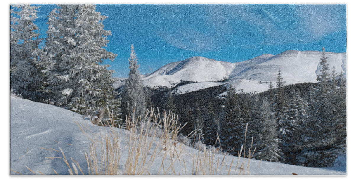 Snow Bath Towel featuring the photograph Colorado Winter Beauty by Cascade Colors