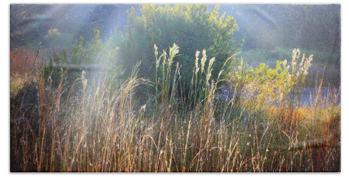 Wetlands Bath Towel featuring the photograph Colorful Morning Marsh by Carol Groenen