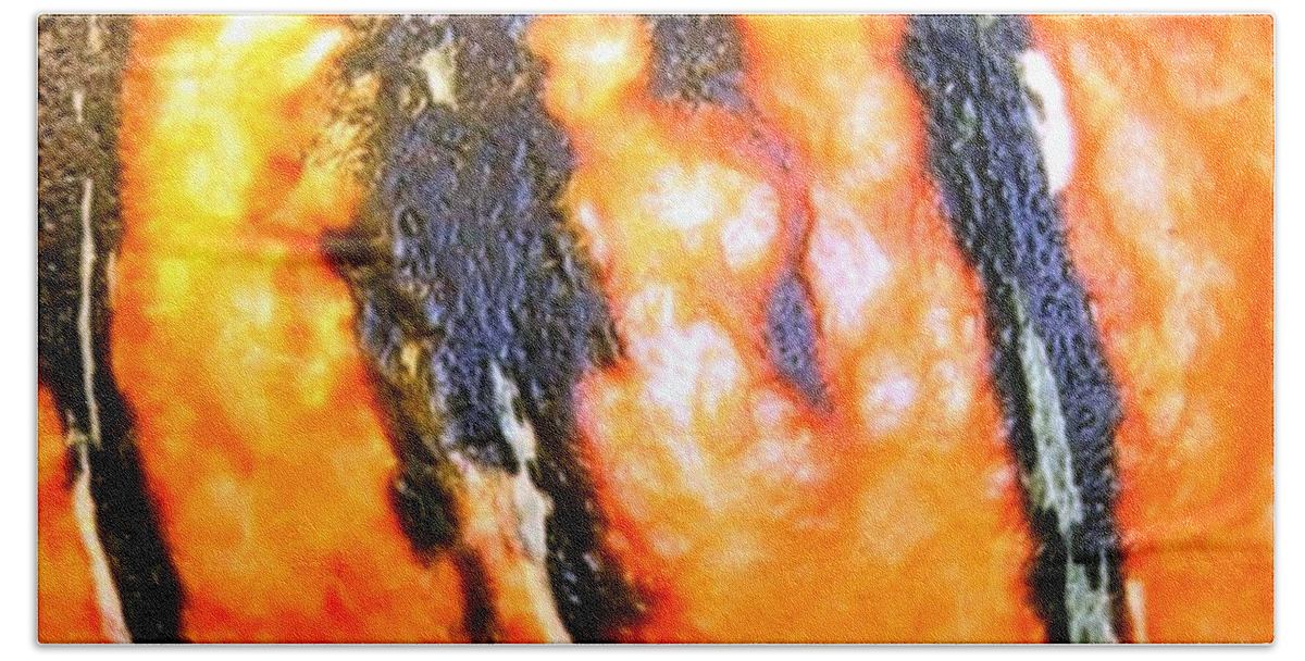 Squash Bath Sheet featuring the photograph Colorful Ripe Squash by Will Borden