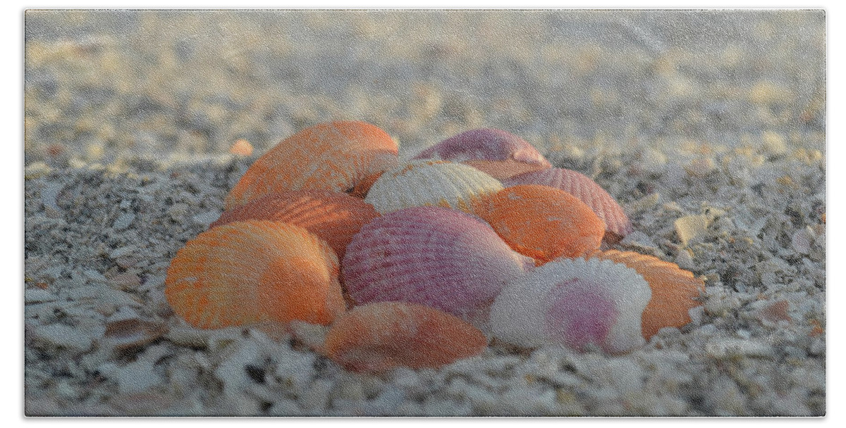 Scallop Shells Bath Towel featuring the photograph Colorful Scallop Shells by Melanie Moraga