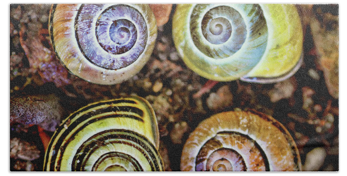 Snails Bath Towel featuring the photograph Colorful Snail Shells Still Life by Peggy Collins