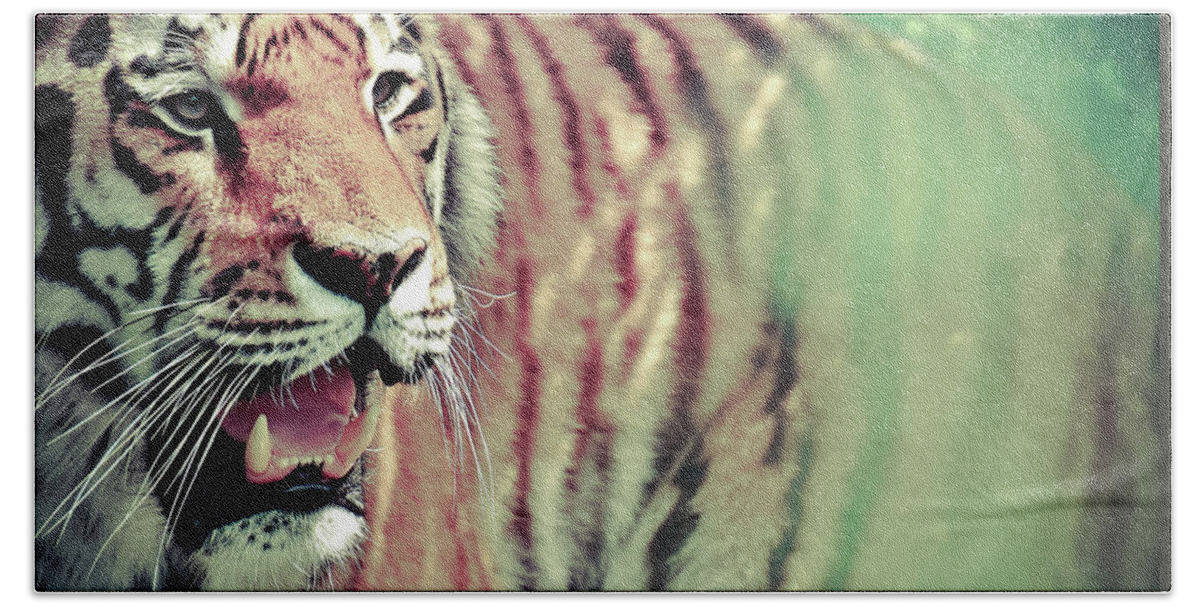 Tiger Hand Towel featuring the photograph Colorfull Artistic Tiger Photo Art by Wall Art Prints