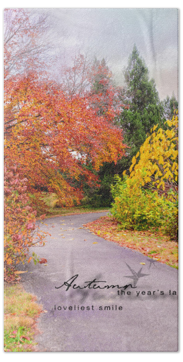 Bernheim Arboretum And Research Forest Bath Towel featuring the photograph Colors of Autumn by Mary Timman