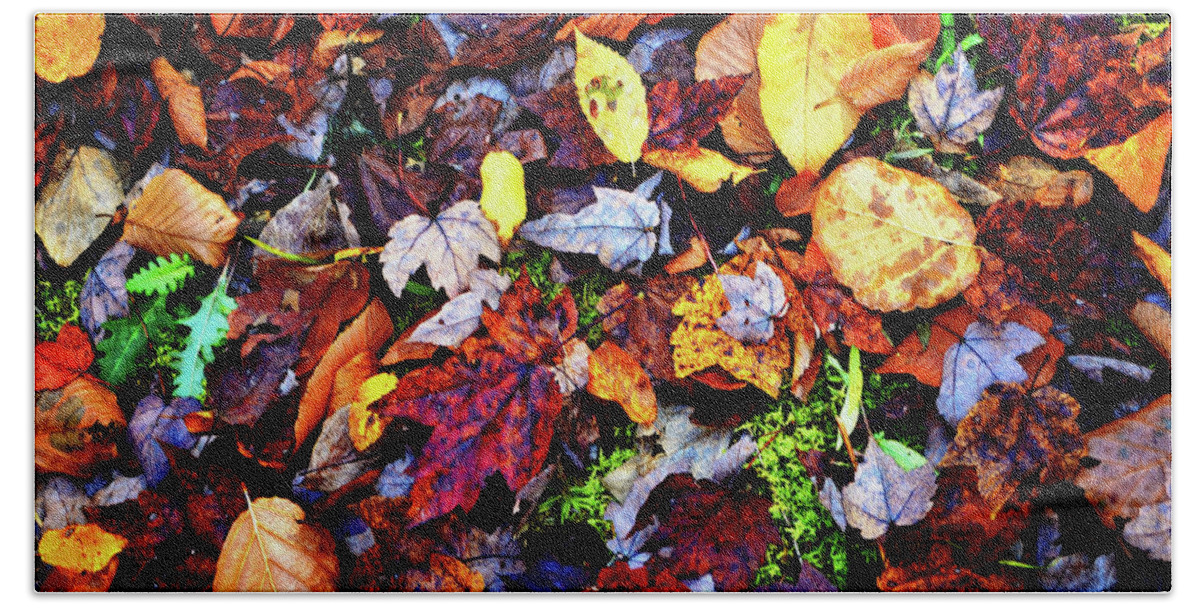 Leaves Bath Towel featuring the photograph Colors Of Nature - Fallen Leaves 003 by George Bostian