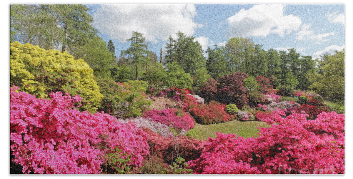 Azaleas In The Punch Bowl At Virginia Water Uk Bath Towel featuring the photograph Colourful Azaleas in the Punch Bowl at Virginia Water UK by Julia Gavin