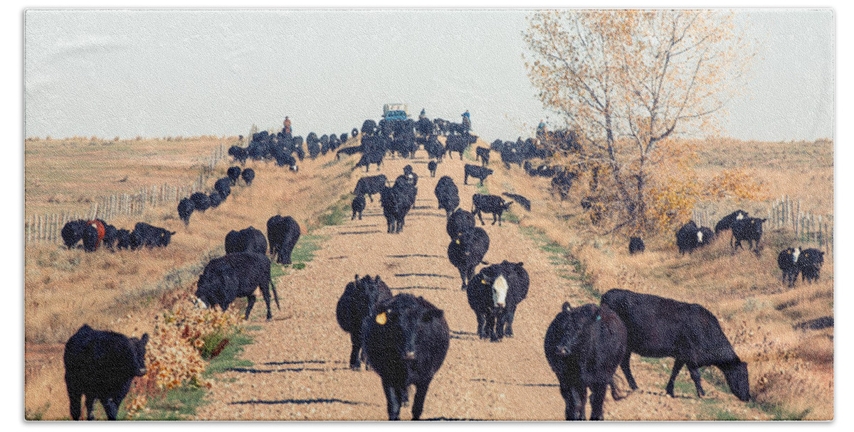 Black Angus Bath Towel featuring the photograph Coming Down the Road by Todd Klassy
