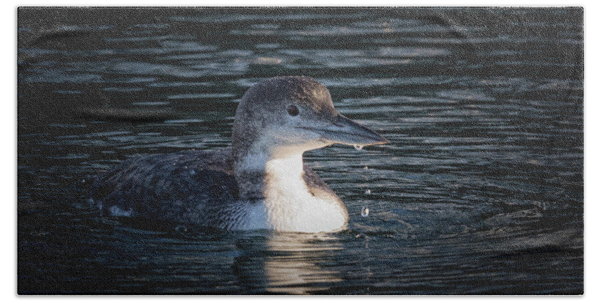 Common Loon Hand Towel featuring the photograph Common Loon by Randy Hall