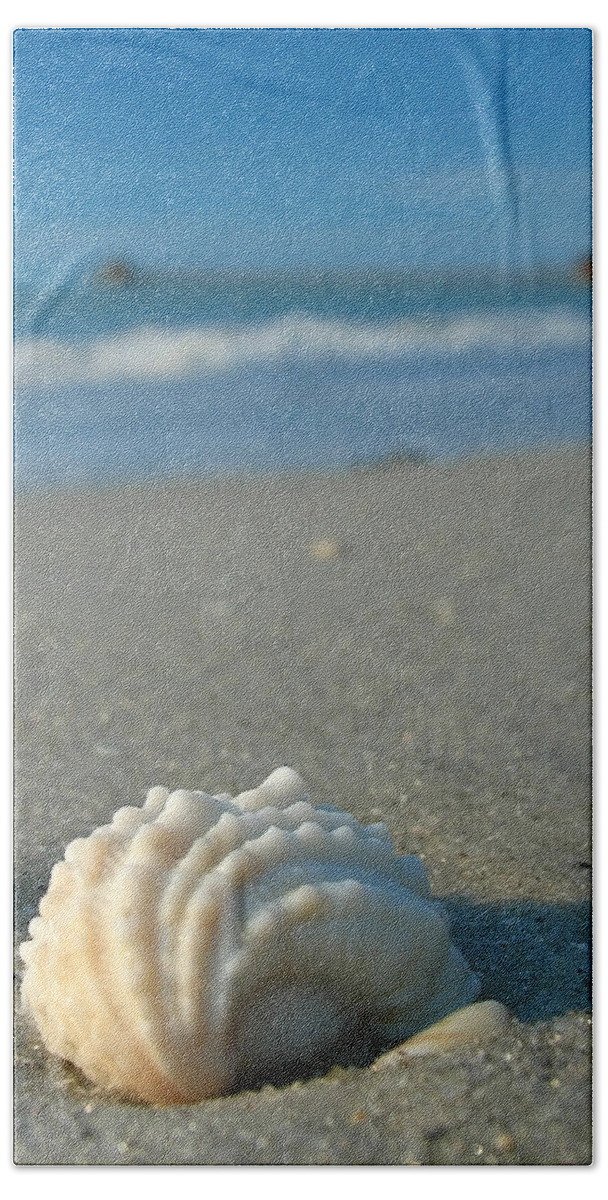 Beach Bath Towel featuring the photograph Conch Shell by Juergen Roth