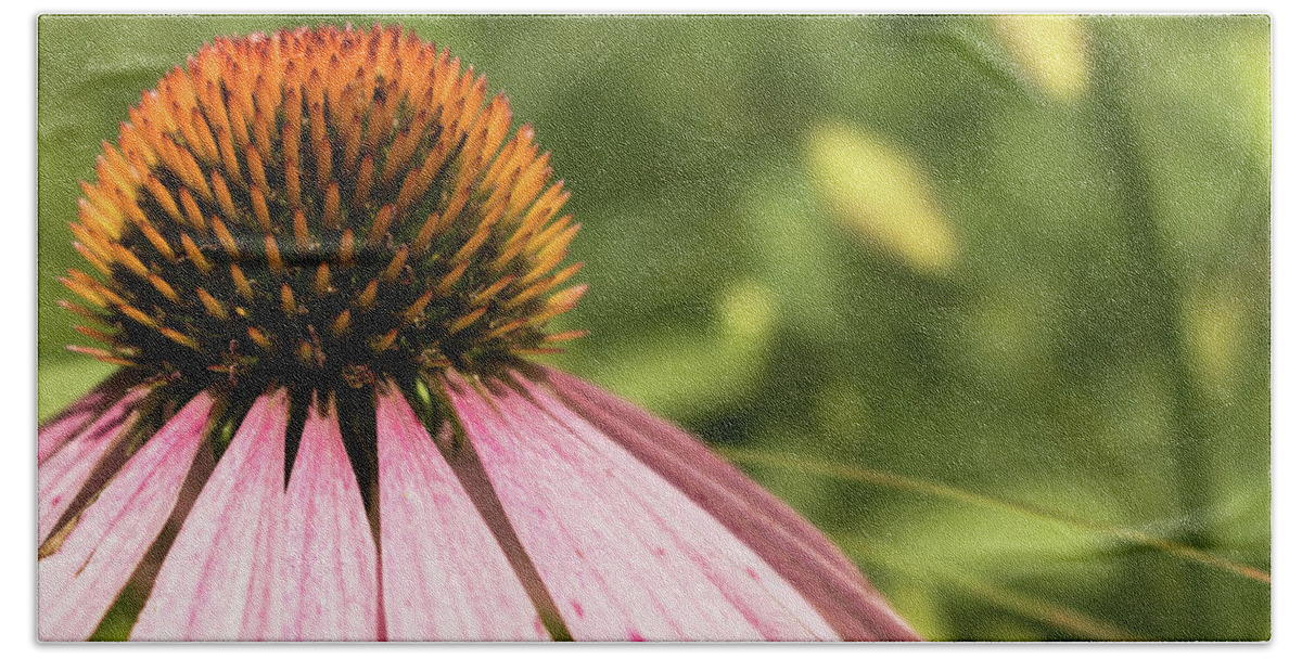 Wildflower Bath Towel featuring the photograph Coneflower by Holly Ross