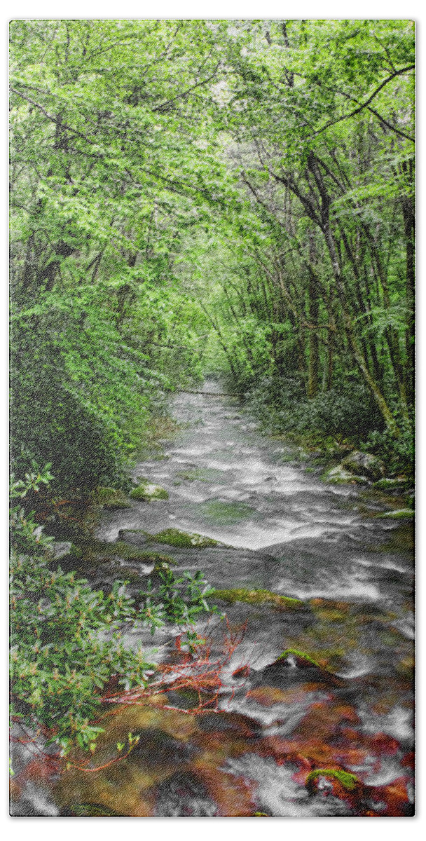 Water Green Stream Creek Flowing Water Park Nature Wild River Trees Forest Bath Towel featuring the photograph Cool Green Stream by Shari Jardina