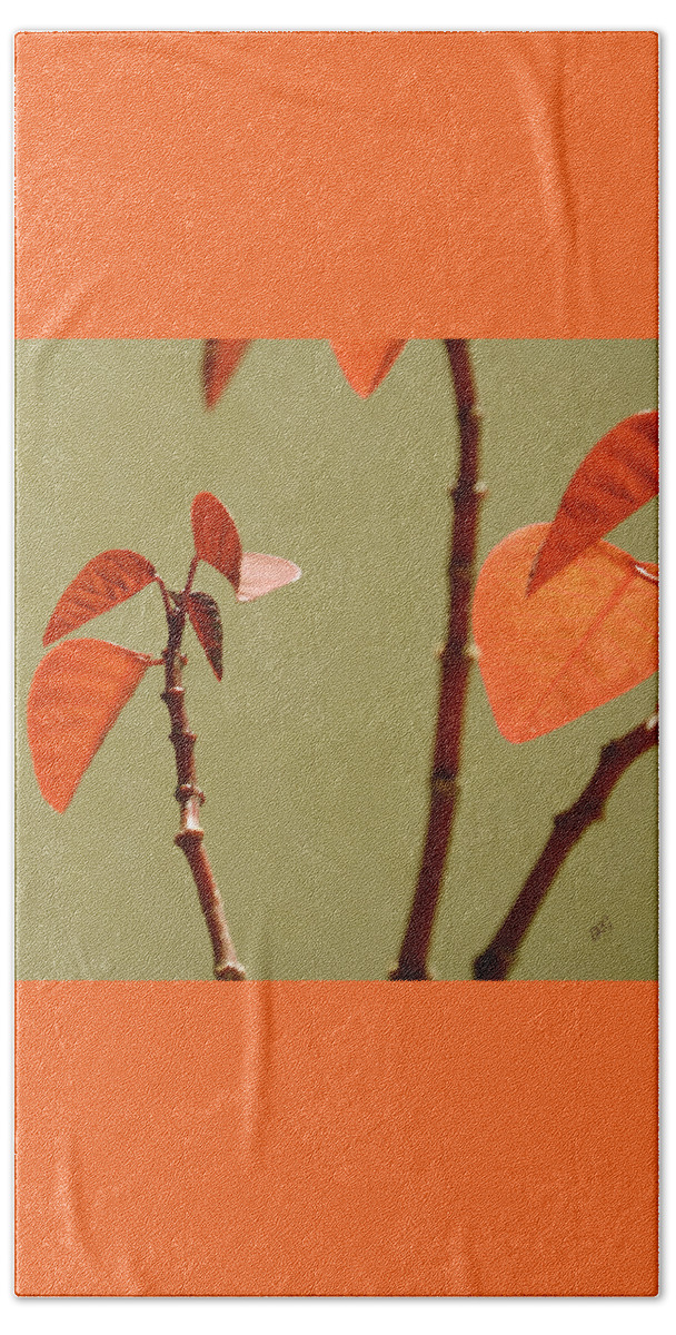 Orange Leaves Hand Towel featuring the photograph Copper Plant 2 by Ben and Raisa Gertsberg