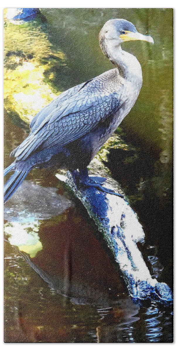 Double-crested Cormorant Bath Towel featuring the photograph Cormorant 001A by Christopher Mercer