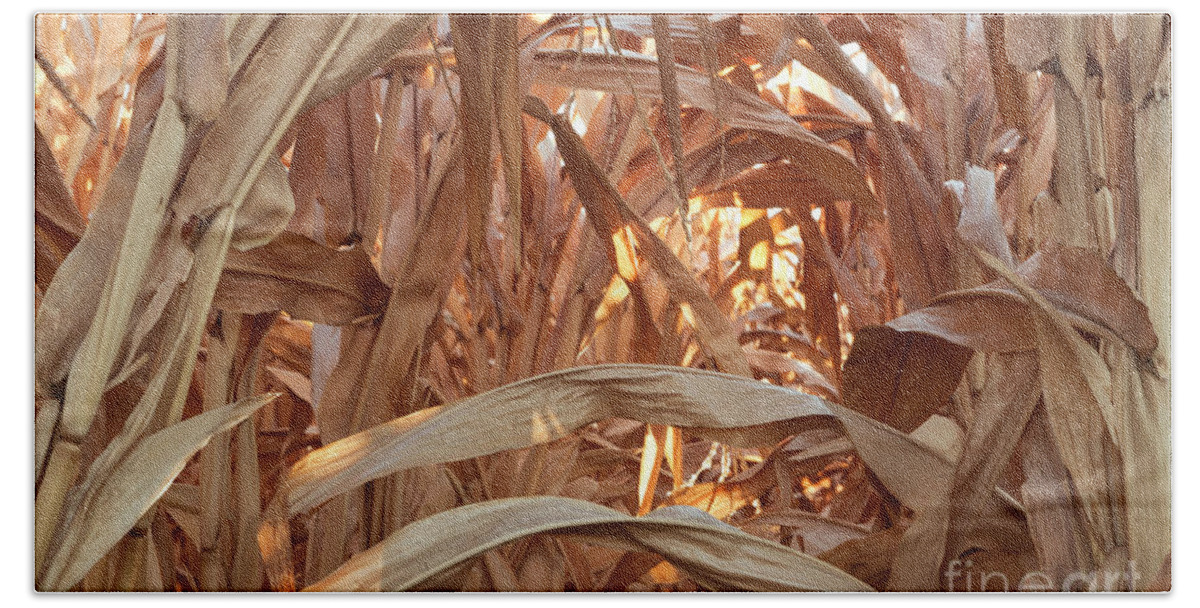 Corn Bath Towel featuring the photograph Corn Field Before Harvest by Inga Spence