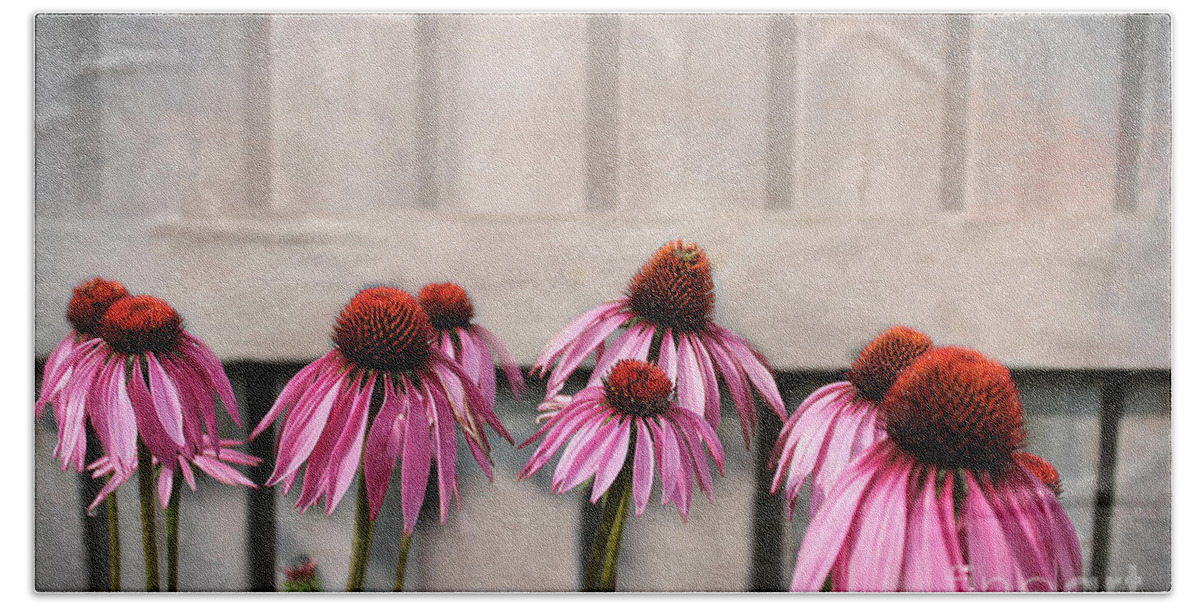 Flowers Bath Towel featuring the photograph Coneflower Couples by Nina Silver