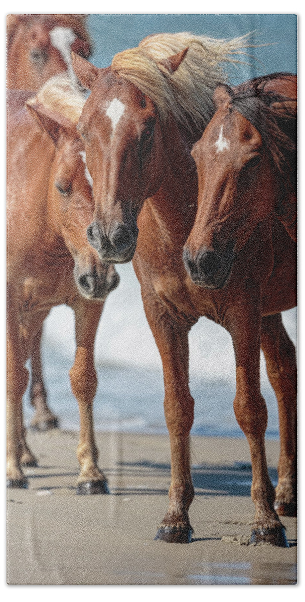 Wild Horse Bath Towel featuring the photograph Corolla Horses VII by Glenn Woodell