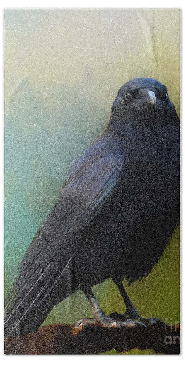 Everlasting Hand Towel featuring the painting Corvid by Jim Hatch