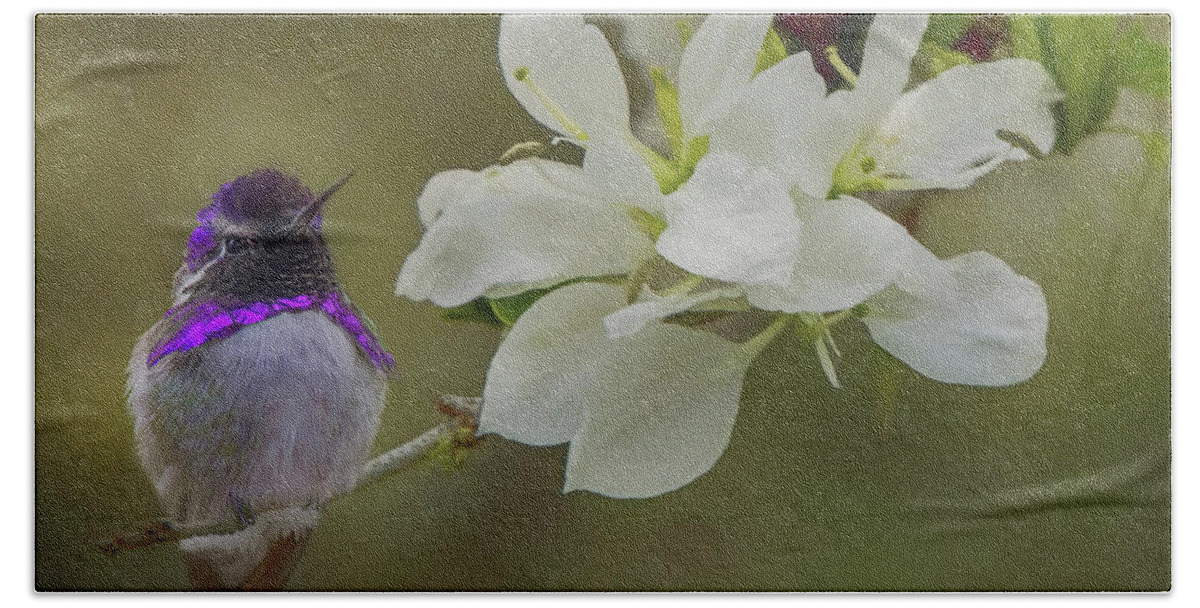 Anacacho Hand Towel featuring the photograph Costas Hummingbird on an Anacacho Orchid Branch by Teresa Wilson