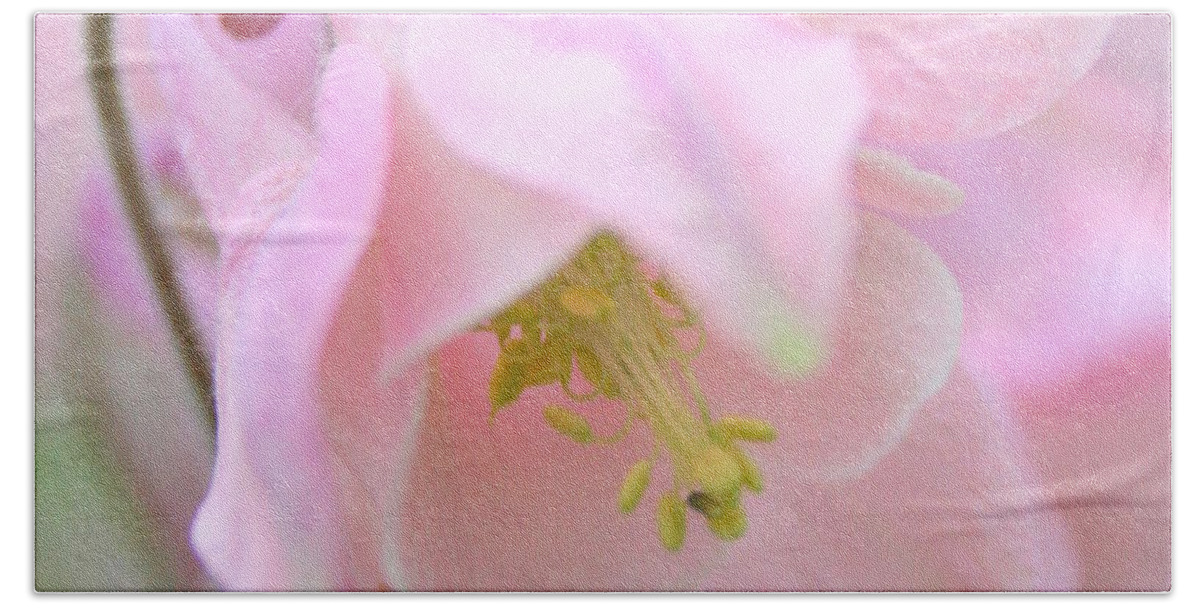Flower Bath Towel featuring the photograph Cotton Candy by Julie Lueders 
