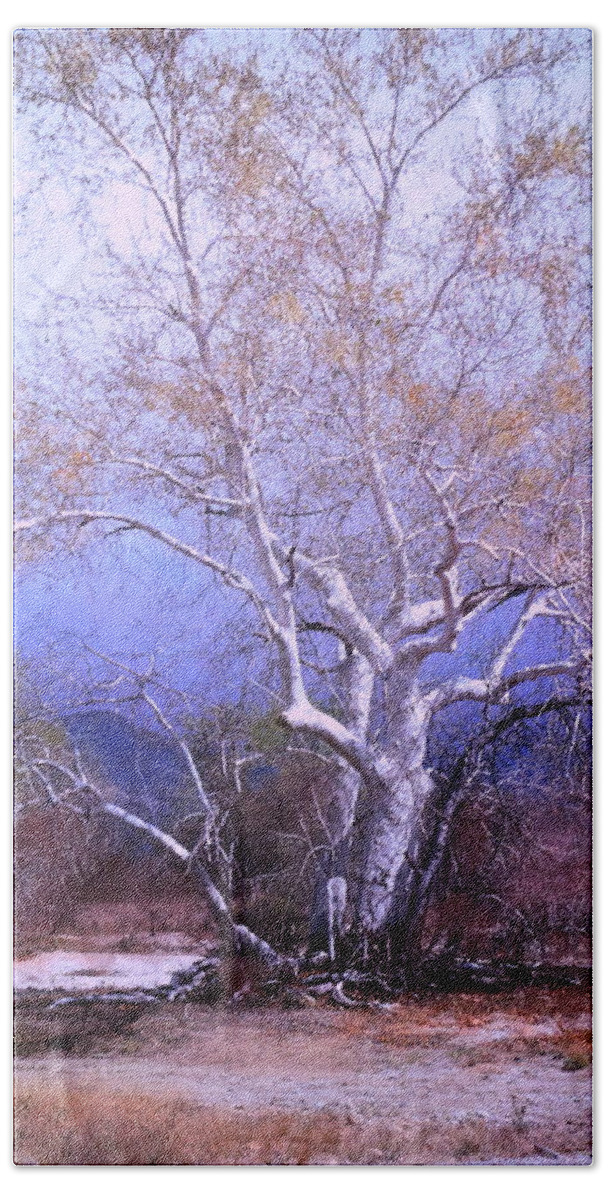 Tucson Hand Towel featuring the photograph Cottonwood Tree by M Diane Bonaparte