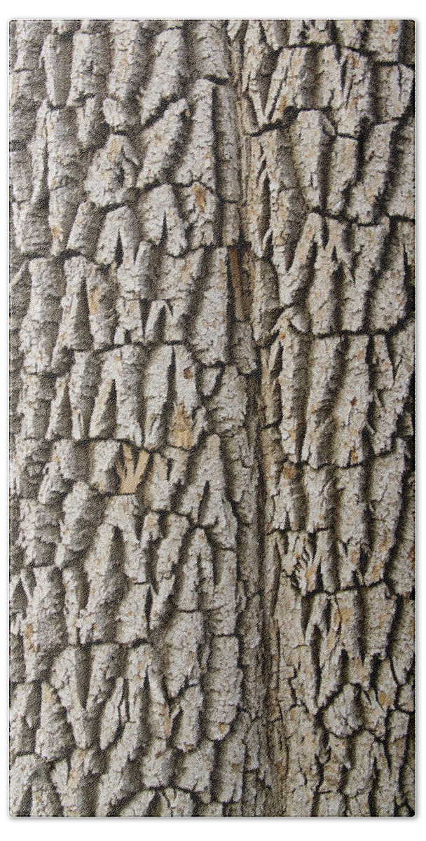 Texture Prints Bath Towel featuring the photograph Cottonwood Tree Texture Print by James BO Insogna
