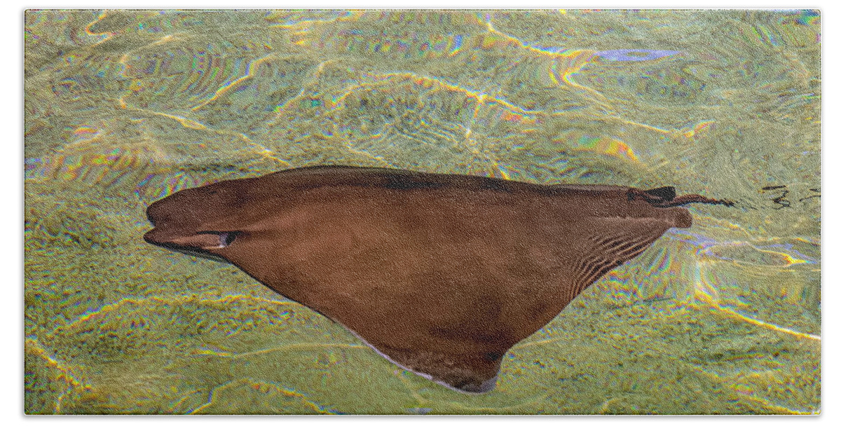Stingray Bath Towel featuring the photograph Cownose Stingray h1823 by Mark Myhaver