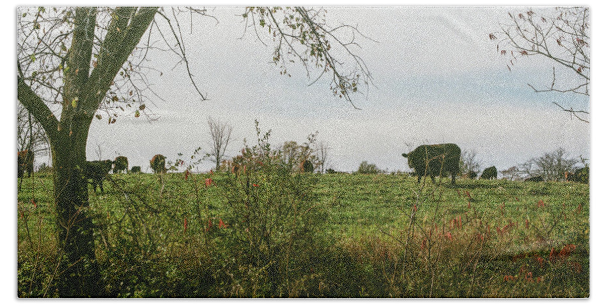 35mm Film Bath Towel featuring the photograph Cows and Farm in Michigan by John McGraw