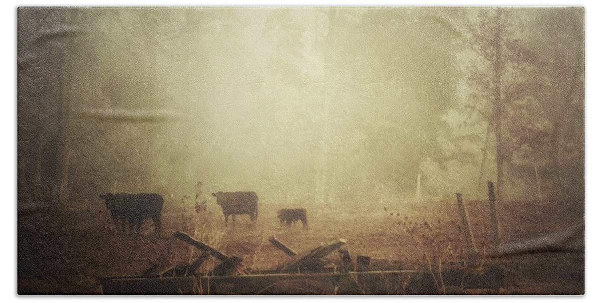 Photography Bath Towel featuring the photograph Cows, Wagon, Fog by Melissa D Johnston