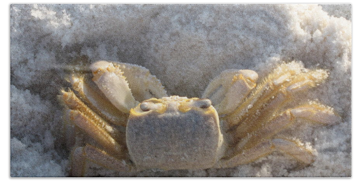 Crab Bath Towel featuring the photograph Crab on the Beach by Christiane Schulze Art And Photography
