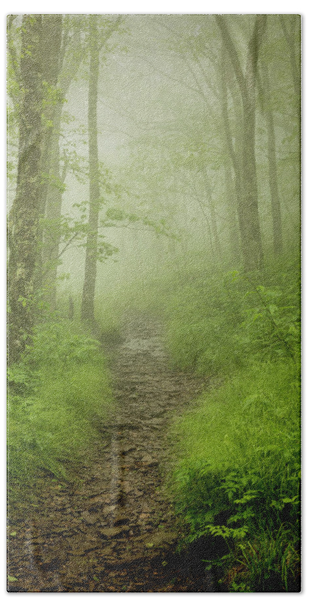 Craggy Gardens Hand Towel featuring the photograph Pilgrims Pathway - Craggy Gardens Trail by Stephen Stookey