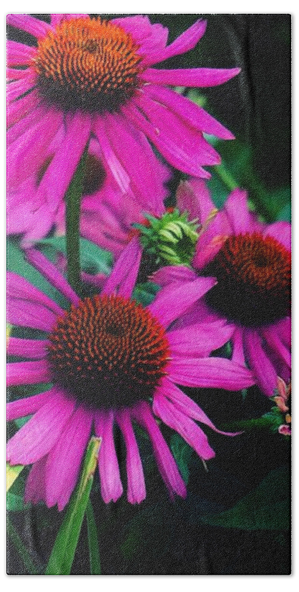  Bath Towel featuring the photograph Crazy for Coneflowers by Kendall McKernon